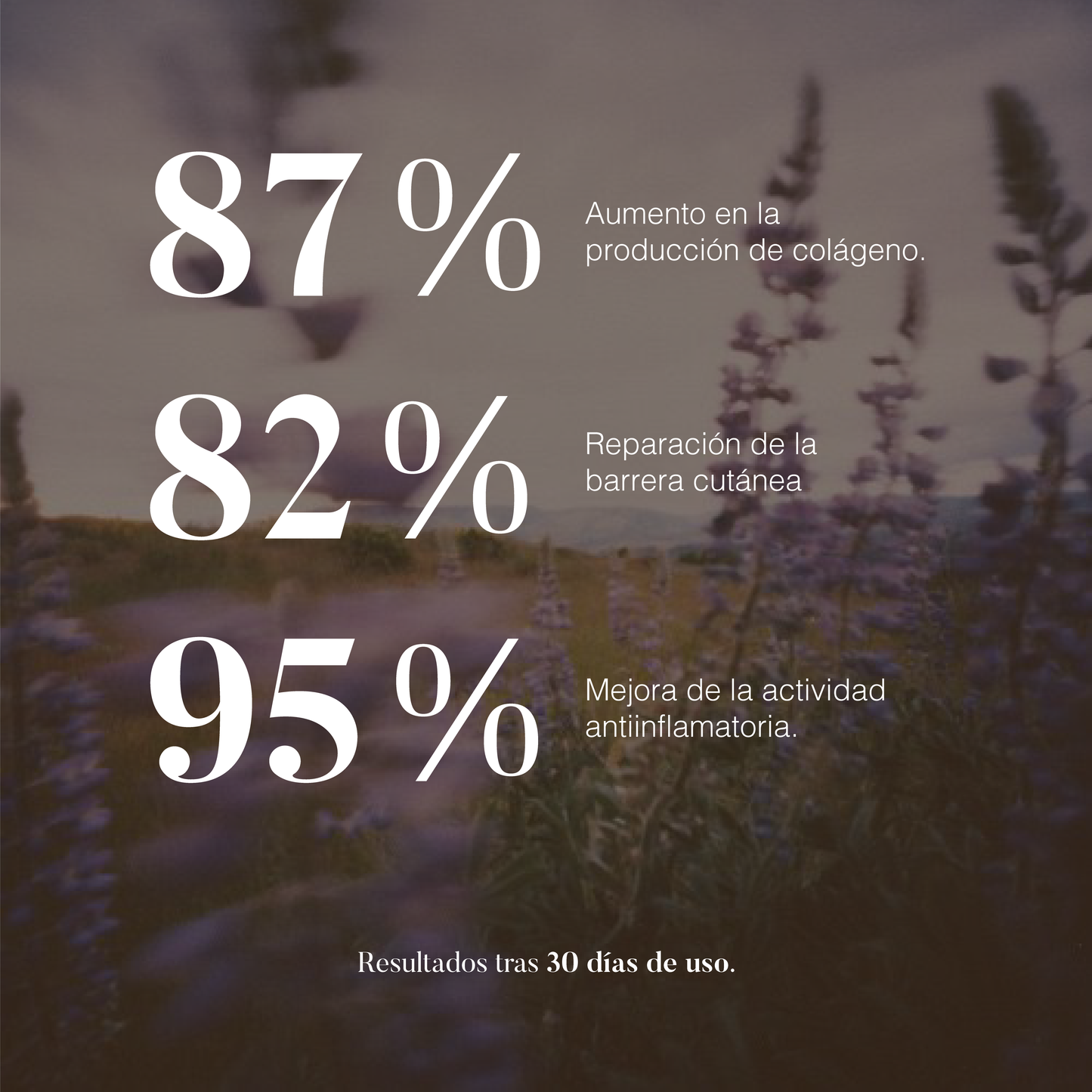 Lavanda: Aceite Esencial