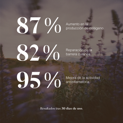 Lavanda: Aceite Esencial