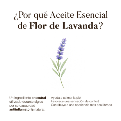 Lavanda: Aceite Esencial