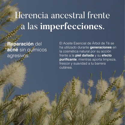 Árbol de Té: Aceite Esencial