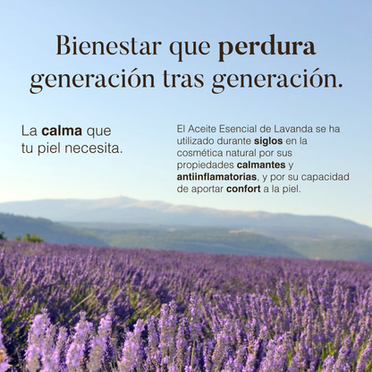 Lavanda: Aceite Esencial