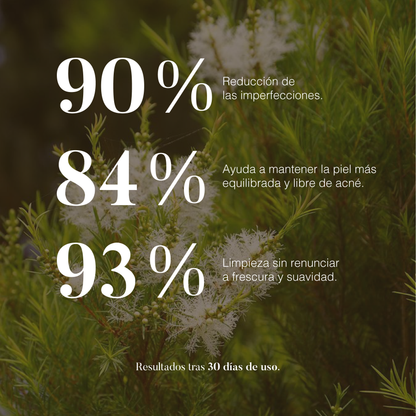 Árbol de Té: Aceite Esencial