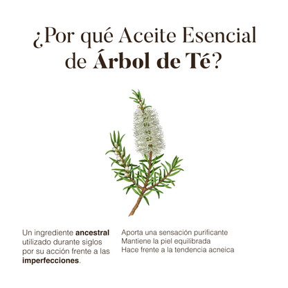Árbol de Té: Aceite Esencial